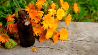 Calendula tentürü ve takviyeler. Seçici odaklanma. Doğa.