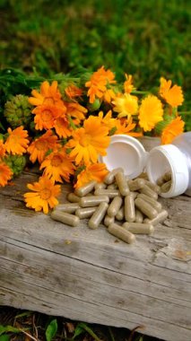 Calendula tentürü ve takviyeler. Seçici odaklanma. Doğa.