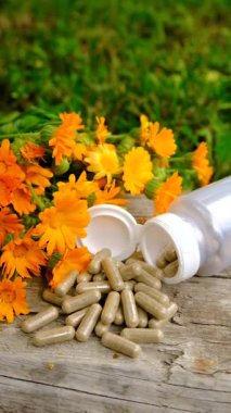 Calendula tentürü ve takviyeler. Seçici odaklanma. Doğa.