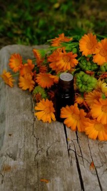 Calendula tentürü ve takviyeler. Seçici odaklanma. Doğa.