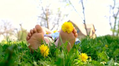 A child with dandelions in the garden. Selective focus. kid.