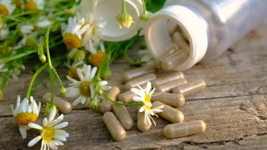 Alternatif tıp ve kozmetik ürünleri için papatya çayı. Seçici odaklanma. Doğa.