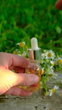 Alternatif tıp ve kozmetik ürünleri için papatya çayı. Seçici odaklanma. Doğa.