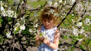 Child in a blooming garden in spring. Selective focus. Kid.