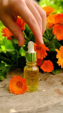 Tıbbi bitki takvimi homeopati. Seçici odaklanma. Doğa.