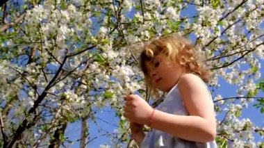 Child in a blooming garden in spring. Selective focus. Kid.