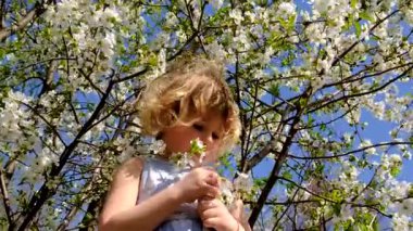 Child in a blooming garden in spring. Selective focus. Kid.