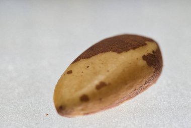 Brezilya cevizi kalbi sağlıklı yılan yakın çekim