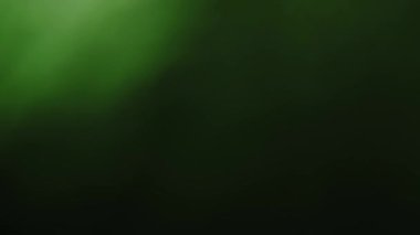 Renkli video ışık sızıntısını örtüyor. Müzik videosu ekran güneşli gün