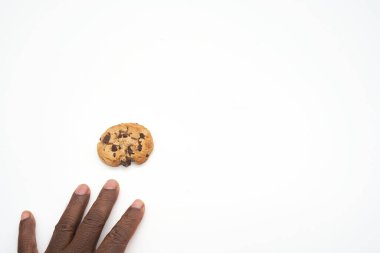 chocolate cookie with chunky chips baked cookie on white background