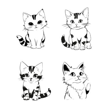 Kedi, kedi, anime, siyah beyaz