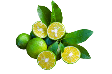 Dallı limon meyvesi