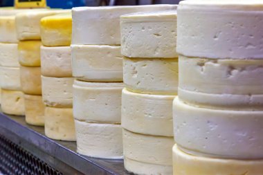 Canastra Cheese, Serra da Canastra bölgesinde Minas Gerais 'de üretilen bir Brezilya peyniri türüdür..