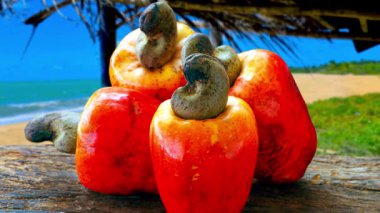 Sahilde kırmızı biber