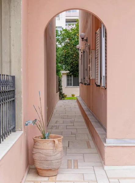 Είσοδος Σπιτιού Ιδιωτικό Δρομάκι Γλάστρα Και Σκούρο Ροζ Τοίχους — Φωτογραφία Αρχείου