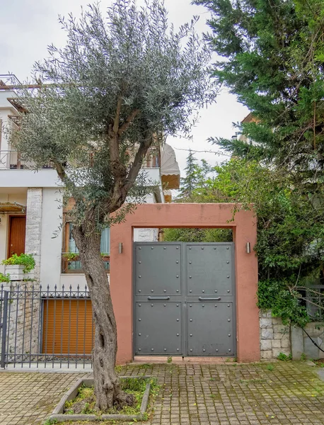 カラフルな入り口とオリーブの木とエレガントな家のファサード アテネギリシャ — ストック写真