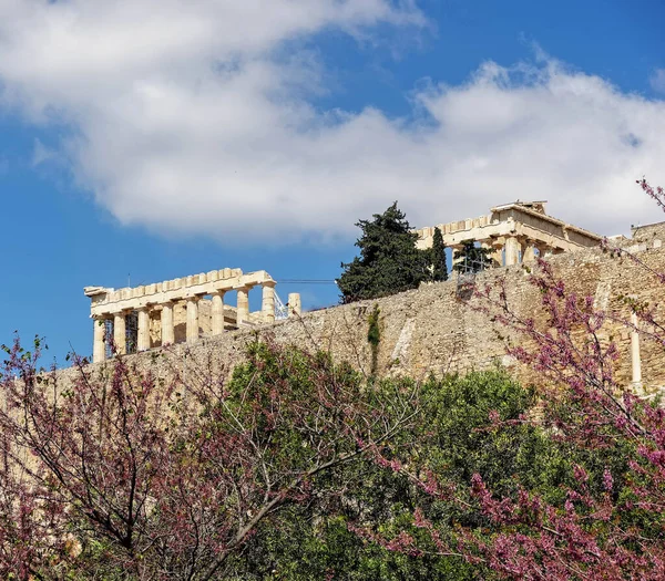 Sprintime Athens Greece Parthenon Temple Acropolis Hilll Lilac Trees Violet — Foto de Stock