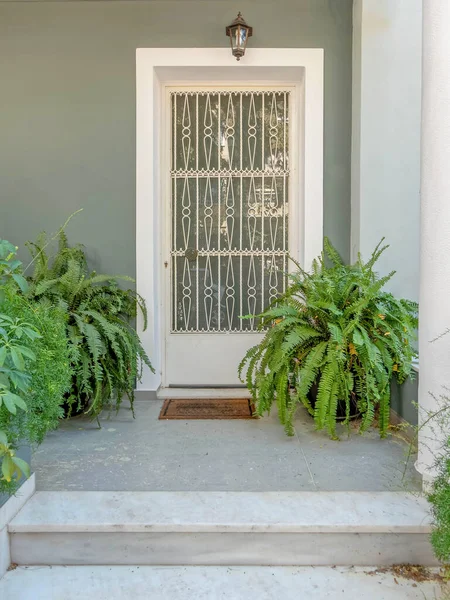 Dom Wejście Metalowe Szklane Drzwi Oliwkowej Ścianie Doniczkach Ateny Grecja — Zdjęcie stockowe