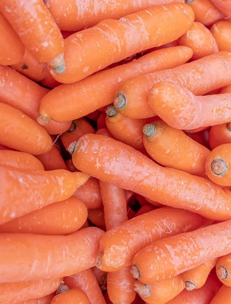 Zanahorias Orgánicas Vista Superior Cerca Fondo Naranja Natural —  Fotos de Stock