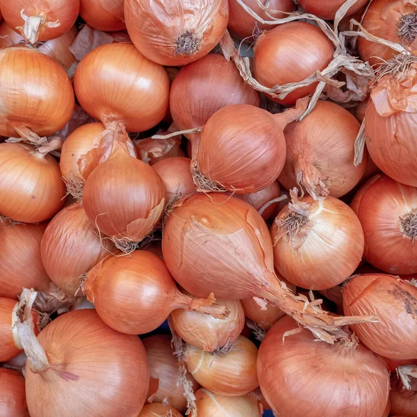 Organik Çiğ Soğan Üst Görünüm Doğal Gıda Arka Planı — Stok fotoğraf