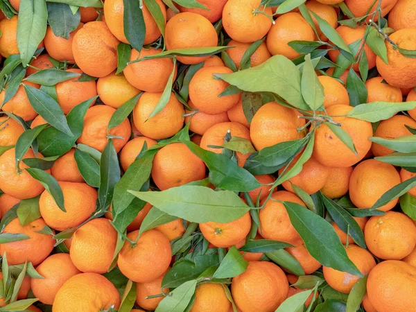 有機みかんのトップビューを閉じる 自然オレンジと緑の背景 — ストック写真