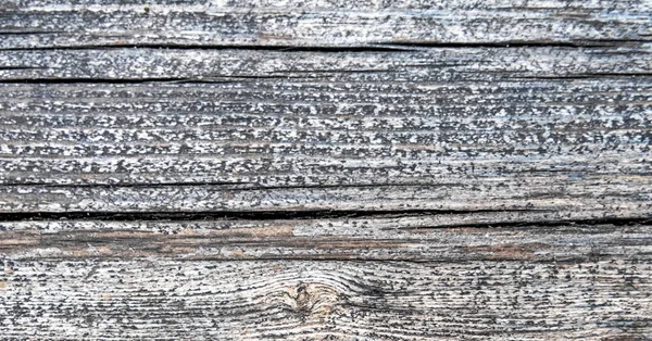 Stare Deski Drewna Wietrznego Zbliżenie Szary Naturalne Tło Dużą Ilością — Zdjęcie stockowe