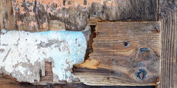 Weathered Wood Washed Sea Close — Stock Photo, Image