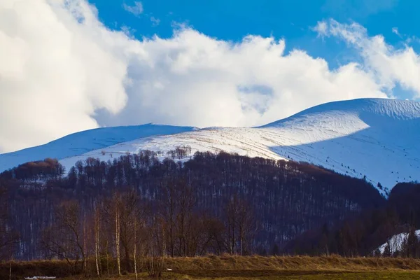 stock image winter countryside of mountain valley, coniferous and deciduous forest in Carpathian Mountains, Transcarpathia, Gemba peak covered in snow, white clouds make shadows green tourism beauty concept