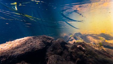 Lityn kirliliğinde hızlı akan nehir Buher, düşük görünürlüklü güneş ışını kirli su, sığ nehir yatağı, su altında yüzey yansıması, organik alüvyon tortusu, insan çöplüğünde gölet otu