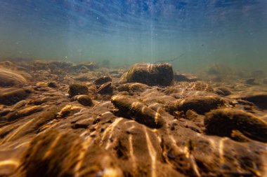 Su altında bulanık su, organik parçacık alüvyonu, kum, çakıl taşı üzerine alüvyon tortusu, taştan sonra yeşil alg, yüzey dalgası, Uzhhorod 'da sığ nehir Uzh, ışık gölgesi oyunu