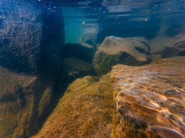 Uzhhorod 'daki sığ nehir Uzh' u tufandan sonra sualtı subaskını, granit taş üzerinde organik parçacık tortusu, yeşil alg oksijen kabarcığı, su yüzeyi yansıması, ışık yüzeyi yansıması, ışık gölge oyunu
