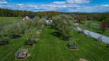 Bir Bahar Günü Meyve Bahçesi ve Çardak Drone Manzarası