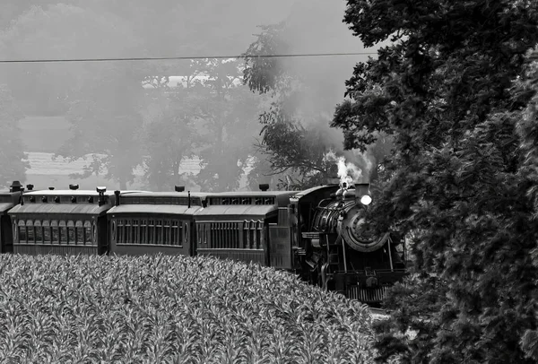 View Restored Steam Passenger Train Approaching Curve Smoke Steam Black — Stock Photo, Image
