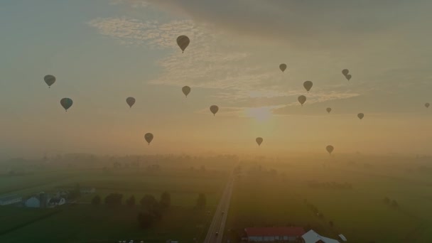 Aerial View Multiple Hot Air Balloons Rising Early Mist Festival — Wideo stockowe