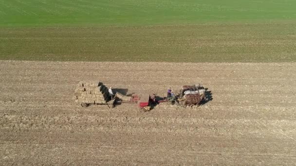 晴れた秋の日に馬の描かれた機器と正方形でトウモロコシの茎とベーリングを収穫するアーミッシュ農家と妻の空中ビュー — ストック動画