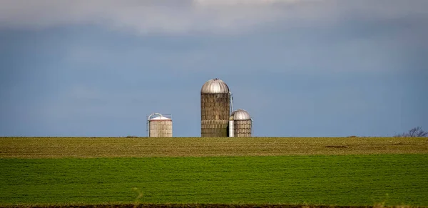A View of A Farm Silo with Tall Corn Stalks in the Foreground on a Sunny Summer Day