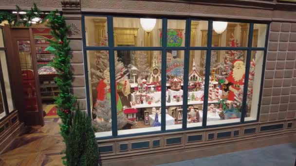 Elizabethtown Pennsylvania December 2021 View Old Street Store Windows Decorated — Stok video