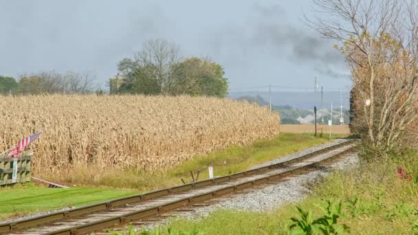 View Antique Steam Locomotive Approaching Thru Corn Field Fence American — Stock Video