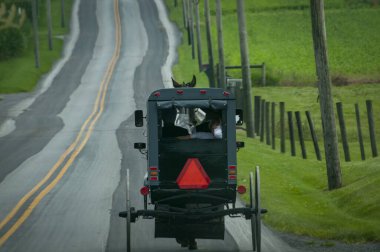 Bir Amish Atı ve At Arabasının Kırsal Yol 'da Bir Yaz Günü Gezisinin Arka Görüntüsü