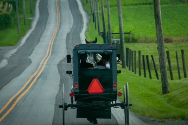A Rear View of an Amish Horse and Buggy traveling Down a Rural Road in the Countryside on a Summer Day clipart
