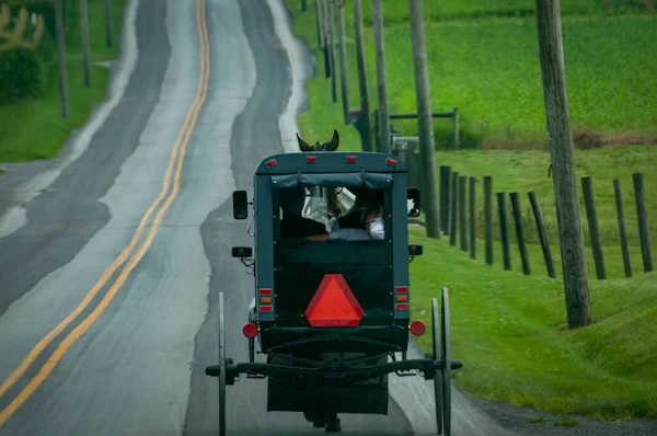 Bir Amish Atı ve At Arabasının Kırsal Yol 'da Bir Yaz Günü Gezisinin Arka Görüntüsü