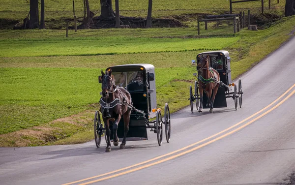 View Two Amish Horse Buggies Traveling Countryside Road Thru Farmlands — Zdjęcie stockowe