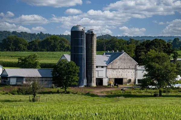 Kilátás Mezőgazdasági Területek Fields Kukorica Alfalfa Pajták Silos Egy Napos — Stock Fotó