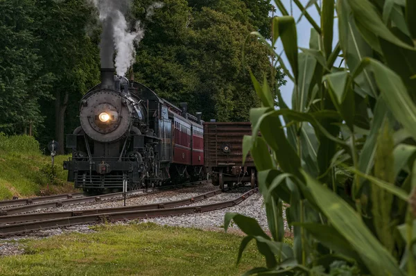 夏の日に右側の貨物 コーンスタークで煙と蒸気を吹く蒸気機関車の正面図 — ストック写真