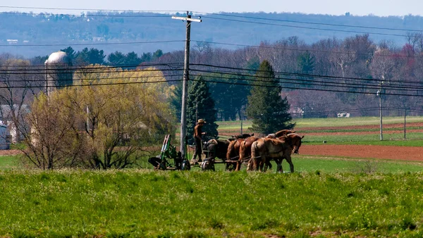 Άποψη Ενός Άμις Αγρότη Οργώνει Χωράφι Του Τέσσερα Άλογα Μια — Φωτογραφία Αρχείου