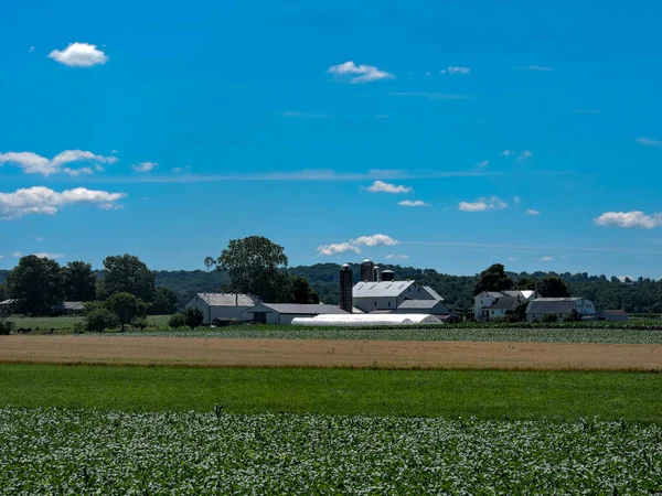 Pohled Farmu Sily Stodolou Uprostřed Čerstvě Osázených Polí Krásném Letním — Stock fotografie