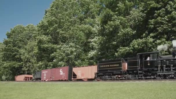 西维吉尼亚州卡斯 2022年6月6日 在阳光明媚的夏日 灰蒙蒙的蒸汽机熄火 喷出浓烟和蒸汽机 经过货车的低景 — 图库视频影像