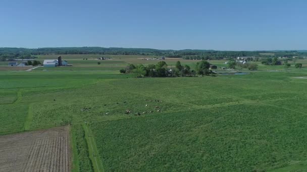 Langsam Bewegt Sich Eine Drohne Durch Die Landschaft Der Amischen — Stockvideo