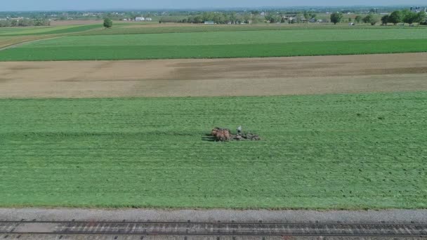Agricultor Amish Colhendo Suas Colheitas Usando Quatro Cavalos Cortador Culturas — Vídeo de Stock