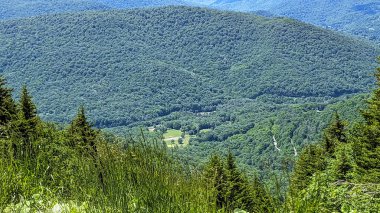 Güneşli bir yaz gününde Evergreen ve çam ağaçlarının üzerinden bakan bir dağ gölünün yüksek manzarası